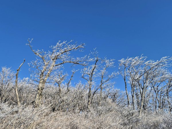 Meilleurs centres de massage corporel à paris