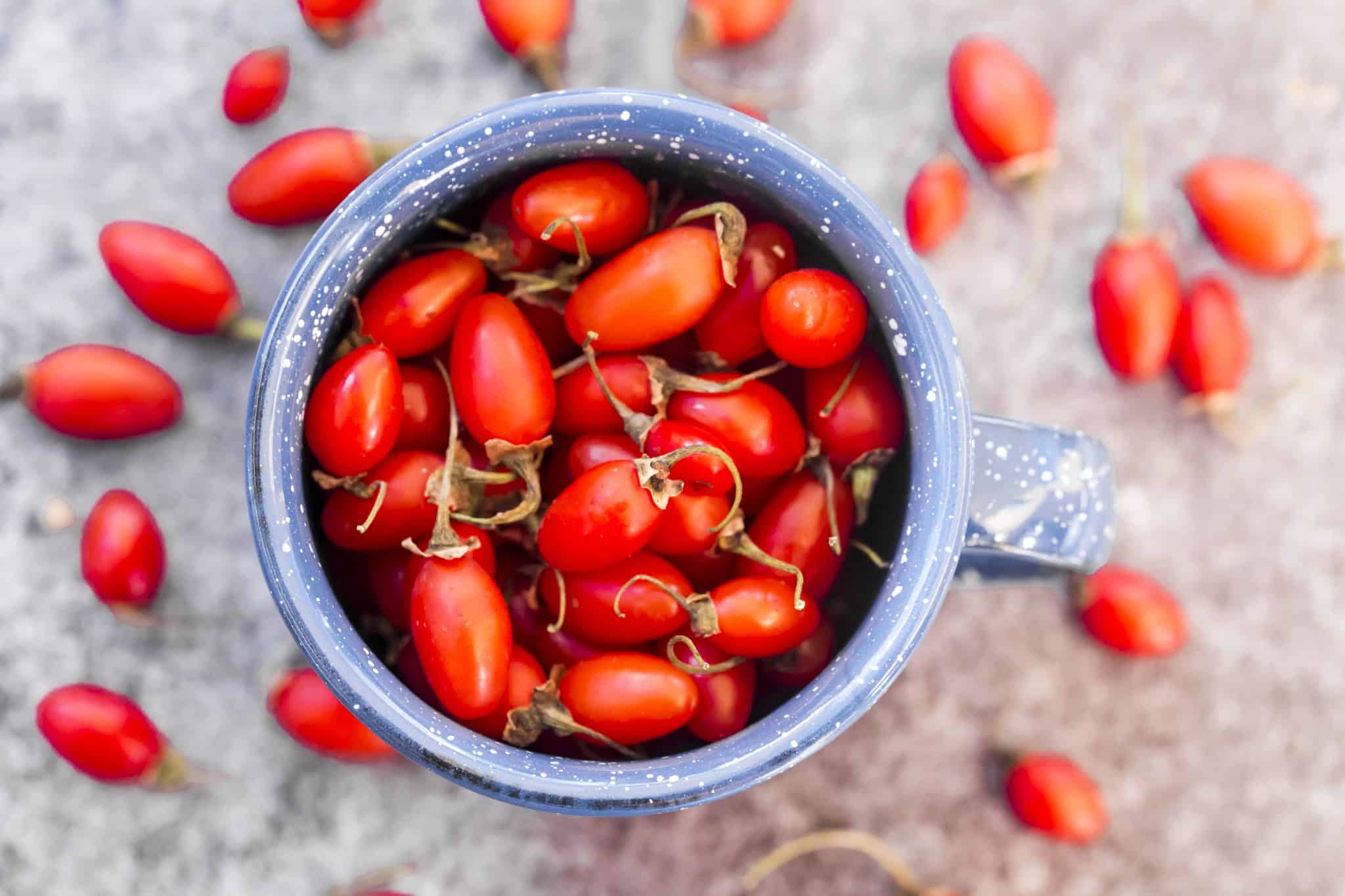 Baies de goji : les alliées santé méconnues